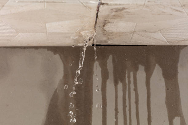 Professional Structural Drying technician working in Van Buren, OH